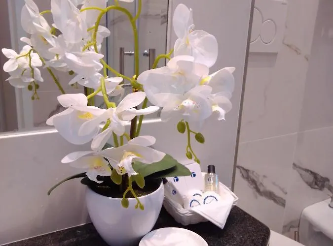 Queen Mary 호텔 3*